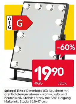 Rusta Spiegel linda Angebot