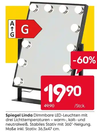 Rusta Spiegel linda Angebot