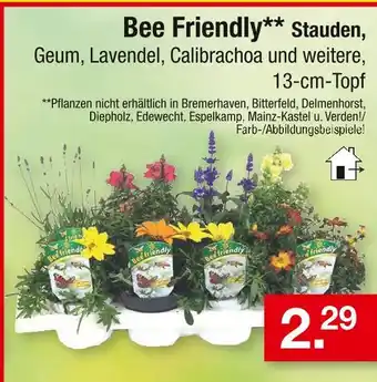 Zimmermann Bee friendly bee friendly Angebot