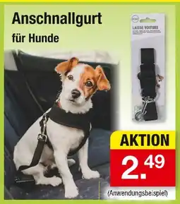 Zimmermann Anschnallgurt Angebot