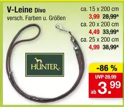 Zimmermann Hunter v-leine divo Angebot