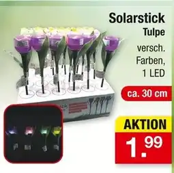 Zimmermann Solarstick tulpe Angebot