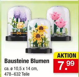 Zimmermann Bausteine blumen Angebot