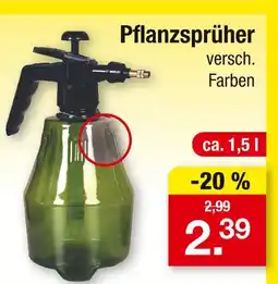 Zimmermann Pflanzsprüher Angebot