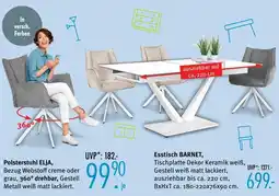 Trends Möbel Esstisch barnet oder polsterstuhl elja Angebot