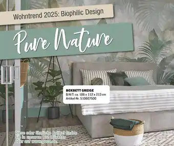 Poco Pure nature boxbett greige Angebot