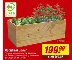toom Baumarkt Pefc hochbeet bea Angebot