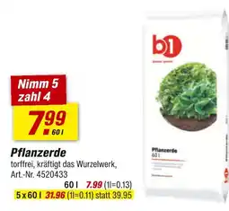 toom Baumarkt B1 pflanzerde Angebot