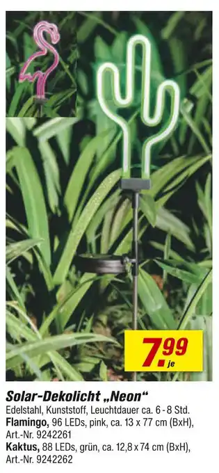 toom Baumarkt Flamingo Angebot