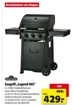 Hagebau Napoleon gasgrill „legend 365“ Angebot