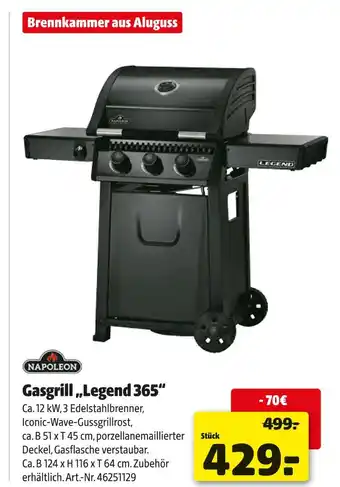 Hagebau Napoleon gasgrill „legend 365“ Angebot