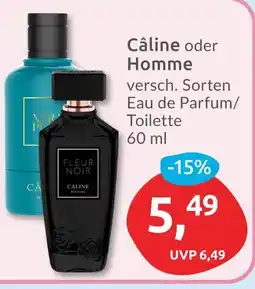 Budni Câline câline oder homme Angebot