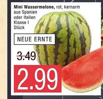 Marktkauf Mini Wassermelone Angebot
