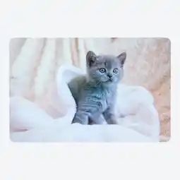 NKD Platz-Set mit Katzen-Fotodruck, ca. 43,5x28,2 cm Angebot