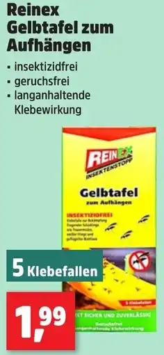 Thomas Philipps Reinex Gelbtafel zum Aufhängen Angebot