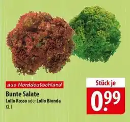 Famila Nord Ost Bunte Salate Angebot