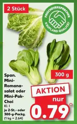 Kaufland Span. Mini-Romanasalat oder Mini-Pak-Choi Angebot