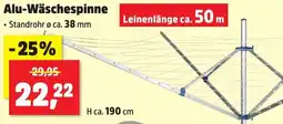 Thomas Philipps Alu-Wäschespinne Angebot
