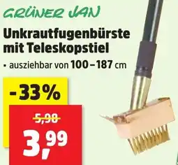 Thomas Philipps GRÜNER JAN Unkrautfugenbürste mit Teleskopstiel Angebot