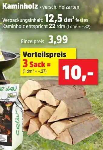 Thomas Philipps Kaminholz Angebot