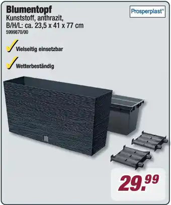 Poco Prosperplast Blumentopf Angebot