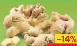 Netto Marken-Discount BioBio Bio-Ingwer Angebot