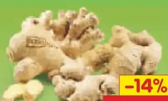 Netto Marken-Discount BioBio Bio-Ingwer Angebot
