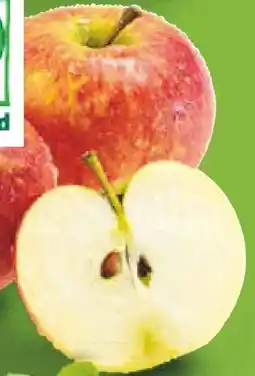 Netto Marken-Discount BioBio Bio-Äpfel Angebot