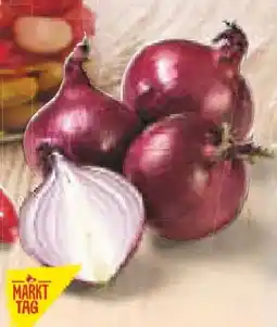 Netto Marken-Discount MarktTag Zwiebeln Angebot