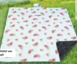 Netto Marken-Discount Dekor Picknickdecke XXL Angebot