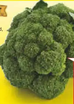 Netto Marken-Discount Heimat Broccoli Angebot
