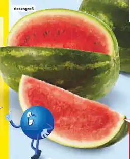 Netto Marken-Discount MarktTag Wassermelone XXL Angebot