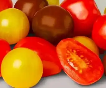 PENNY Marktliebe Snacktomaten-Mix Angebot
