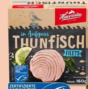 PENNY Hawesta Thunfischfilets Angebot