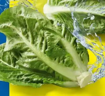 Lidl Bio Mini Romana Angebot