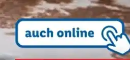 Lidl Action 41 Angebot