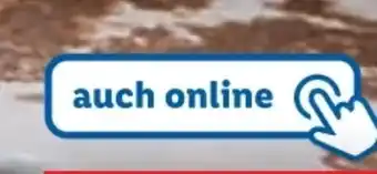 Lidl Action 41 Angebot