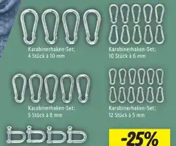 Lidl Parkside Karabinerhakenset Angebot