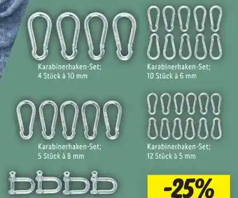 Lidl Parkside Karabinerhakenset Angebot