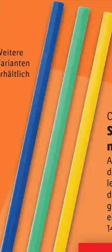 Lidl Crivit Schwimmnudel Angebot