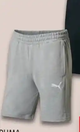 Lidl Puma Herren Sweatshorts Angebot