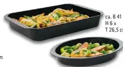 Lidl Livarno Home Bratform Angebot