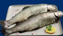 Lidl Fischerstolz Regenbogenforelle Angebot