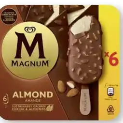 Scheck-in-Center Langnese Magnum Angebot