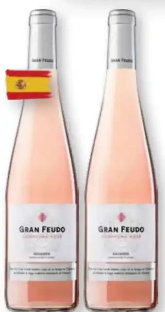 Scheck-in-Center Bodegas Gran Feudo Tinto Crianza Navarra Angebot