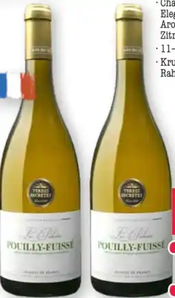 Scheck-in-Center Pouilly-Fuissé Burgund Angebot