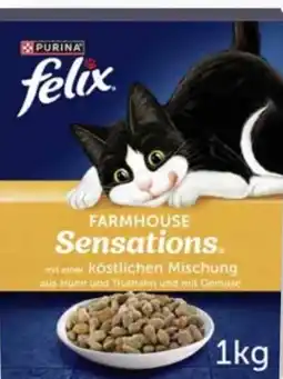 Scheck-in-Center Purina Felix Katzennahrung Angebot