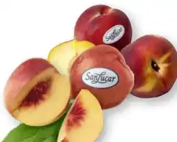 Scheck-in-Center SanLucar Nektarine Angebot