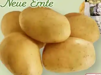 Edeka Pfälzer Grumbeere Kartoffeln Angebot