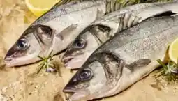 Edeka Wolfsbarsch Loup de Mer Angebot